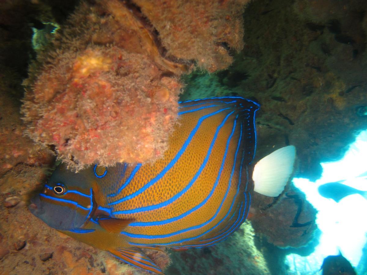 Ombak Dive Resort Perhentian Island Pulau Perhentian Kecil 外观 照片