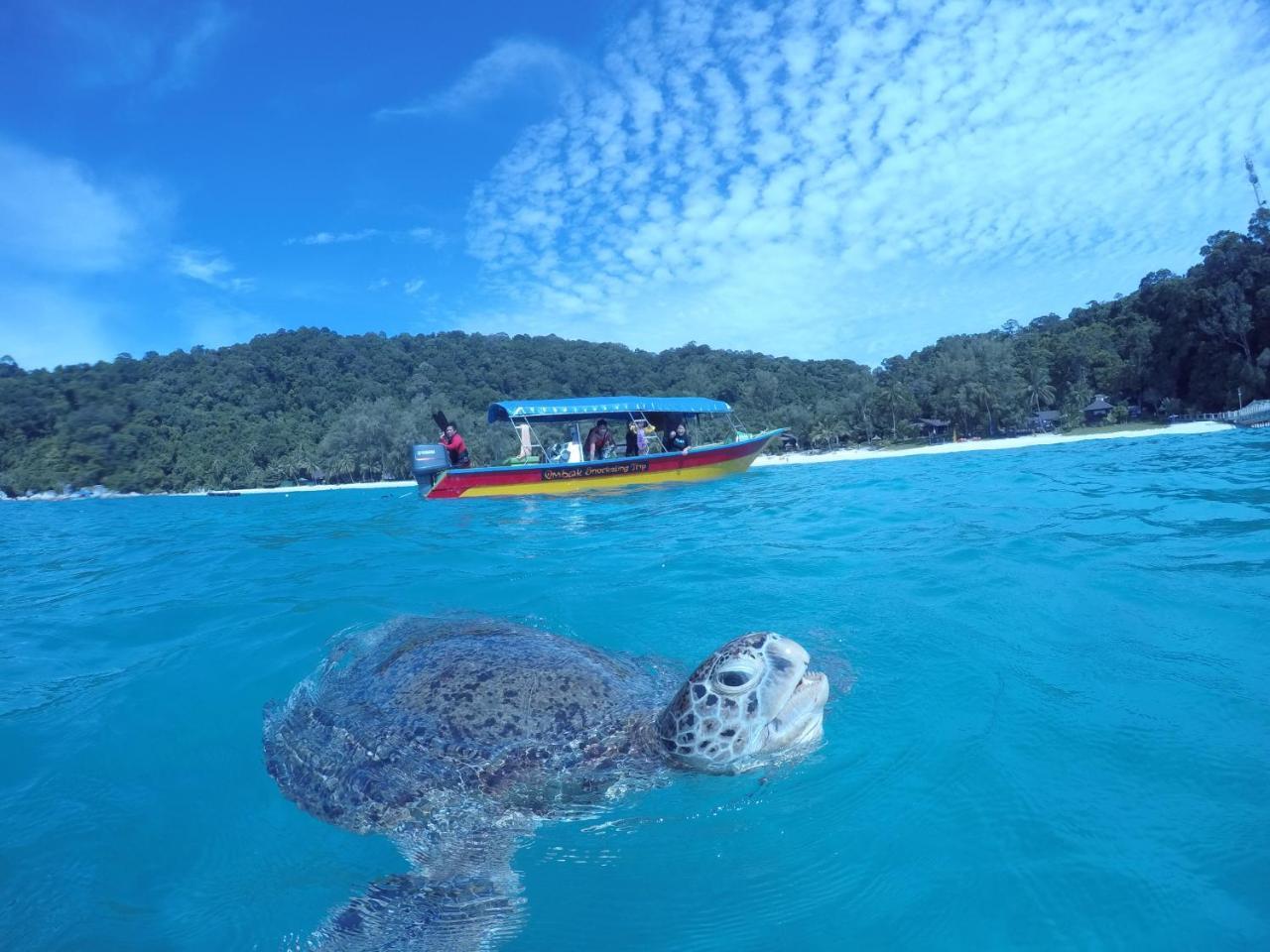 Ombak Dive Resort Perhentian Island Pulau Perhentian Kecil 外观 照片